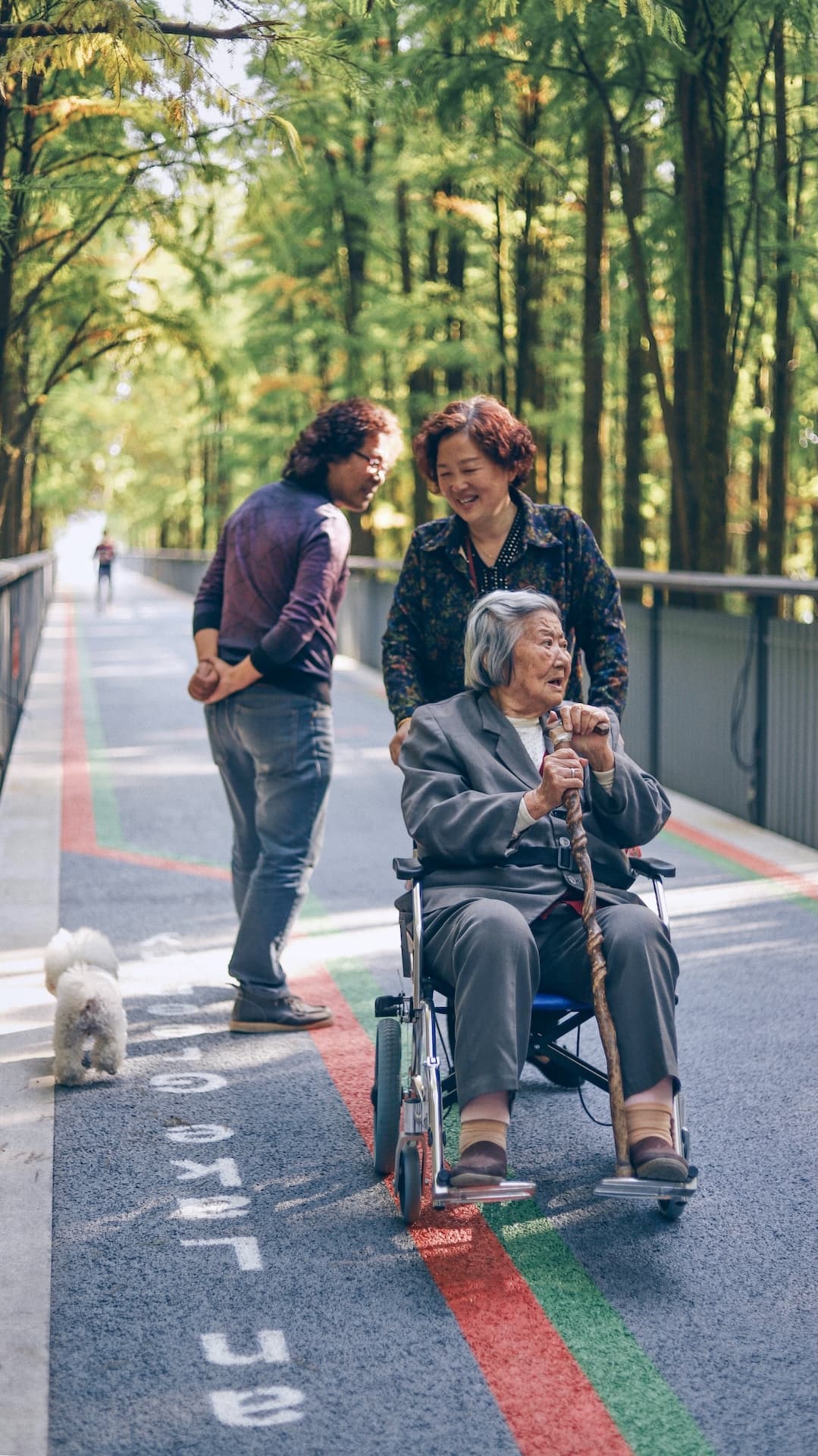 Family in park taking care of grandma on wheels